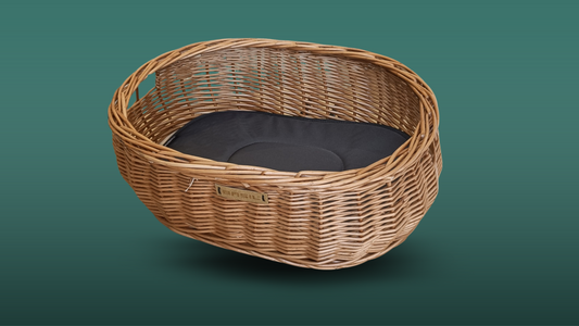 Basil Cykelhundekurv