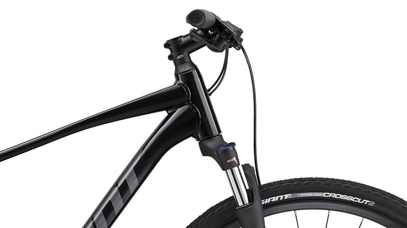 Giant Roam 2 Disc.