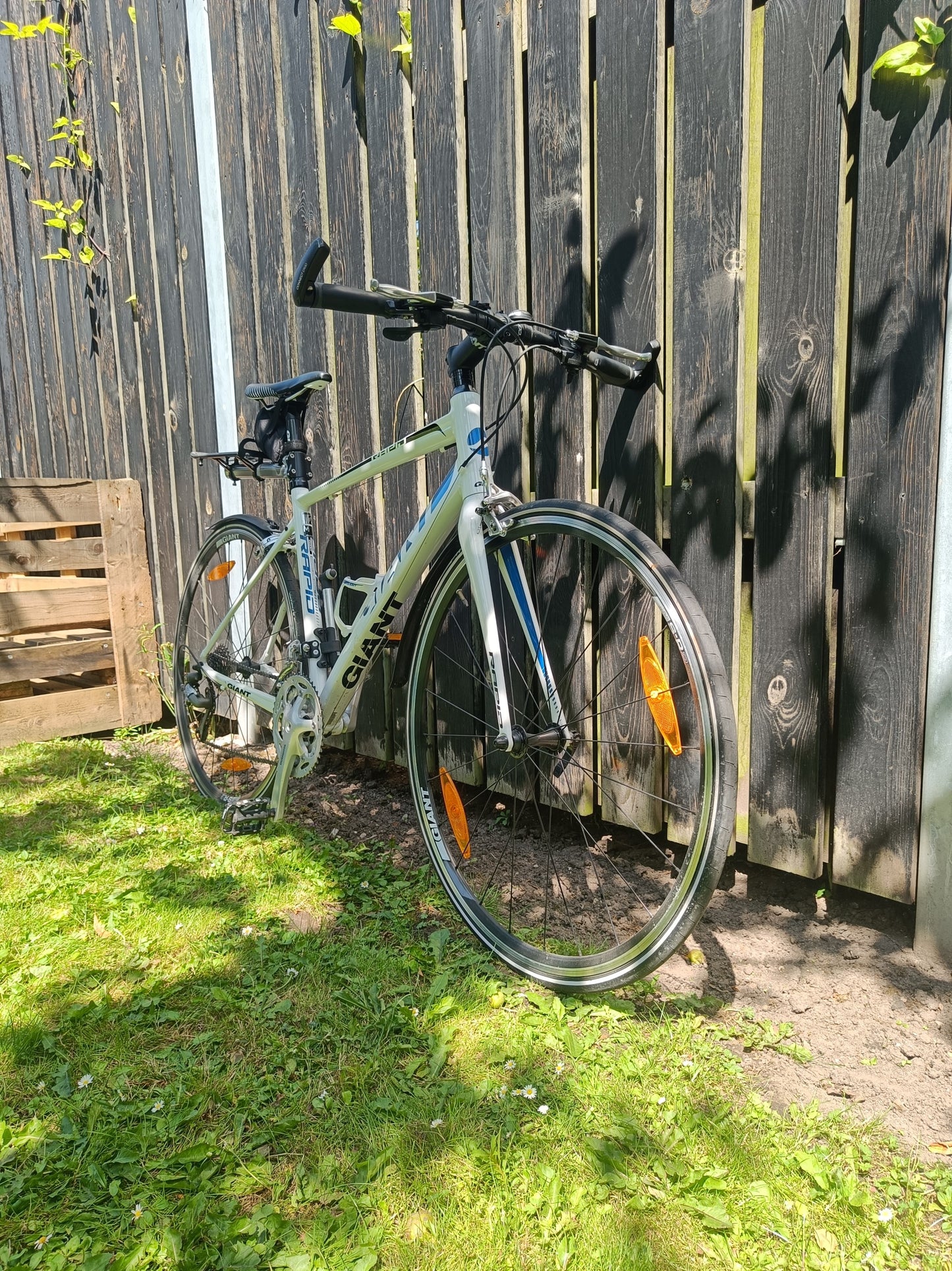 Giant Racercykel