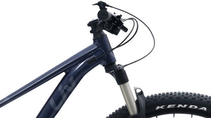 Liv (Giant) Tempt 29 1