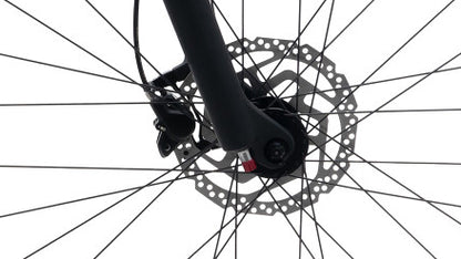 Liv (Giant) Tempt 29 2